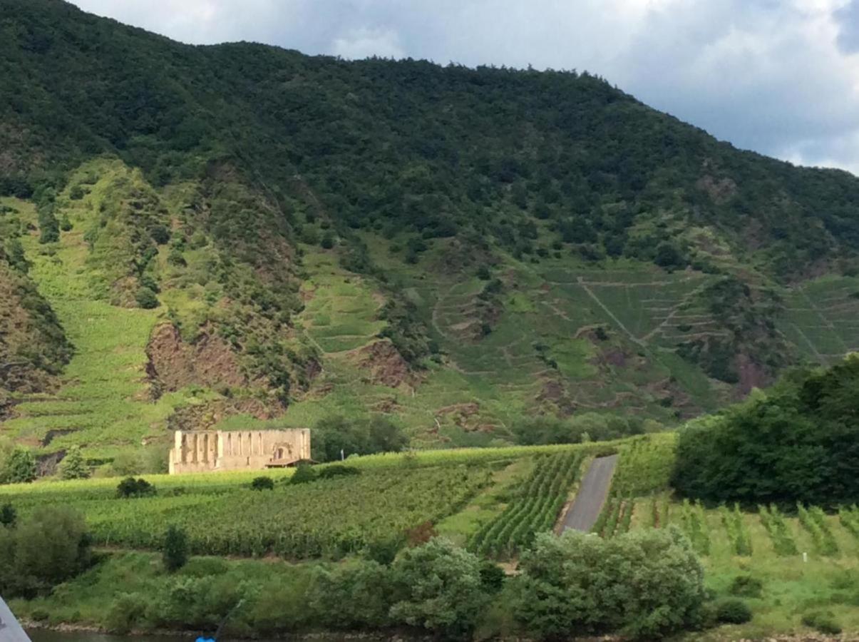 Ferienhaus Mosel 2.0 Bremm Εξωτερικό φωτογραφία